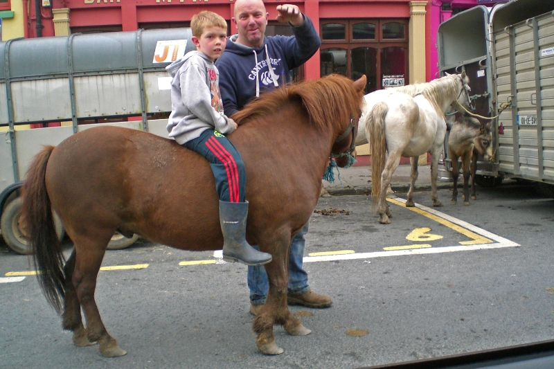 CIMG1478.JPG - Horse Fair, Ennistymon