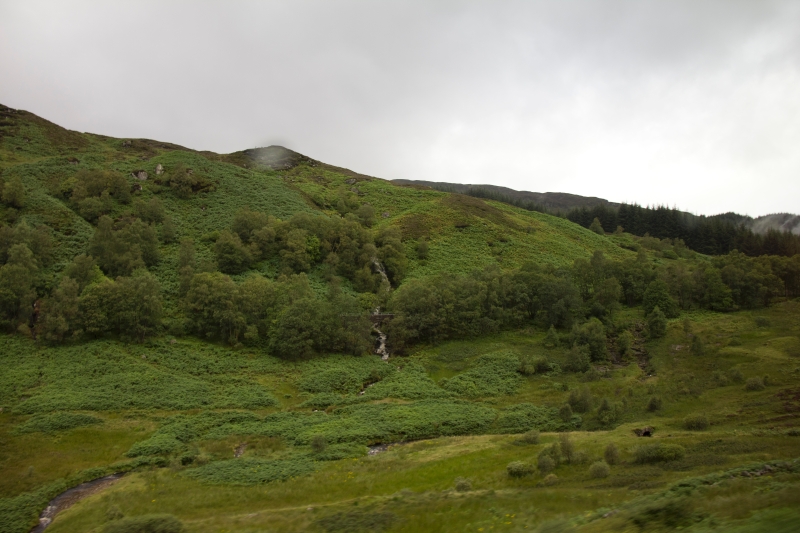 IMG_0751.jpg - Loch Ness, Glencoe & The Highlands