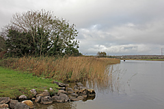 Corrib River, Galway, Galway