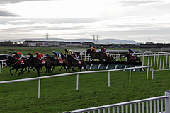 Galway Horse Races