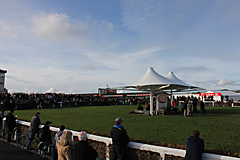 Galway Horse Races