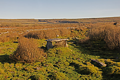 Gleninsheen Wedge Tomb, The Burren