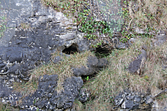 Leprechaun, The Burren